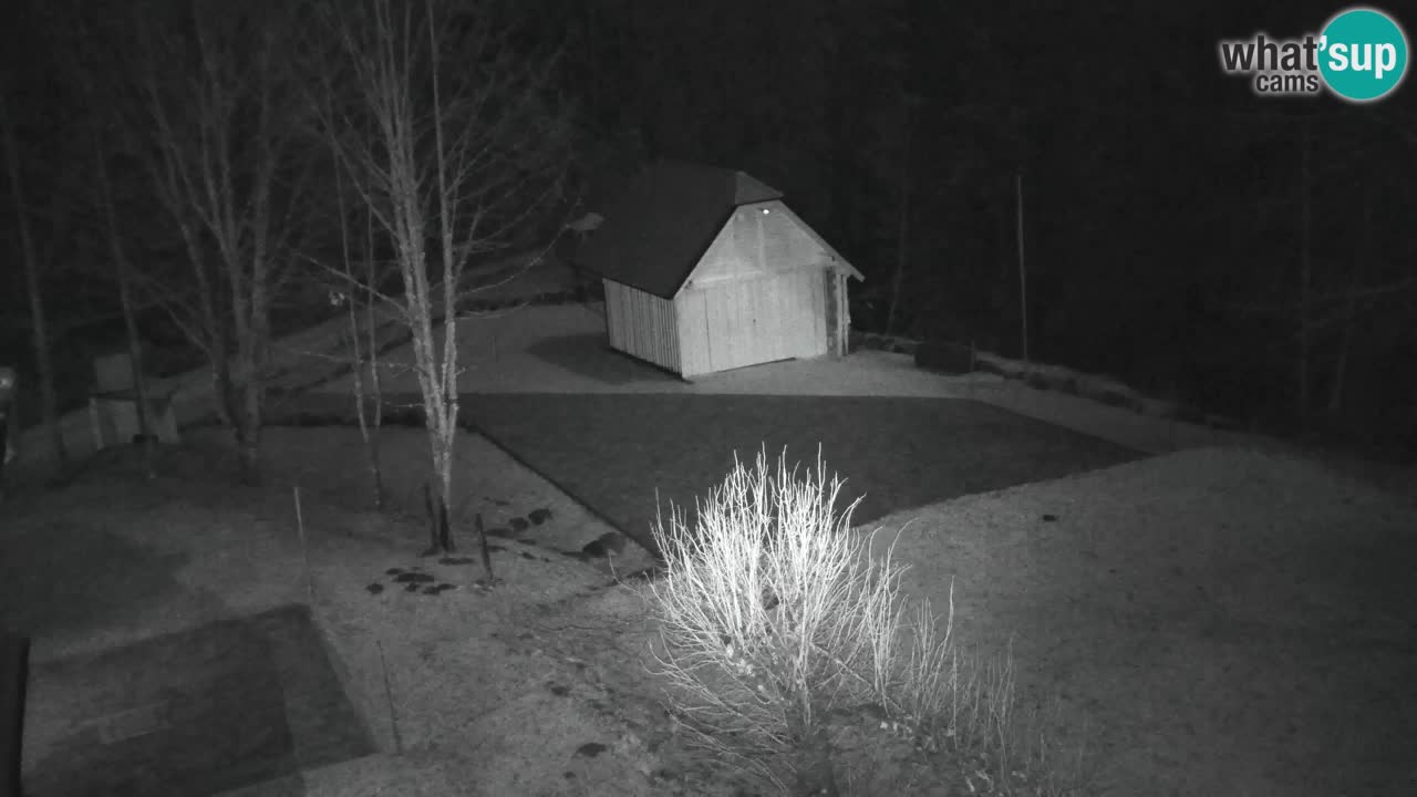 Webcam Lukanja – Pohorje houses a Water village