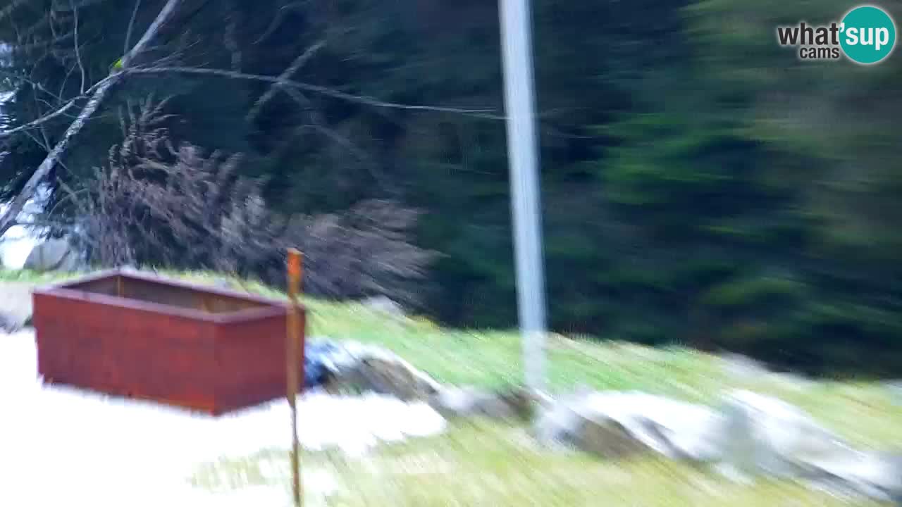 Webcam Lukanja – Pohorje houses a Water village