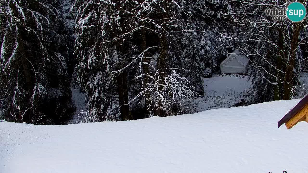 Web kamera Lukanja – Water Village | Pohorje Houses