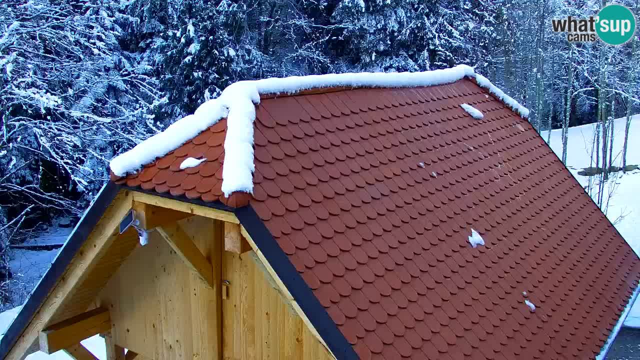 Webcam Lukanja – Pohorje houses a Water village