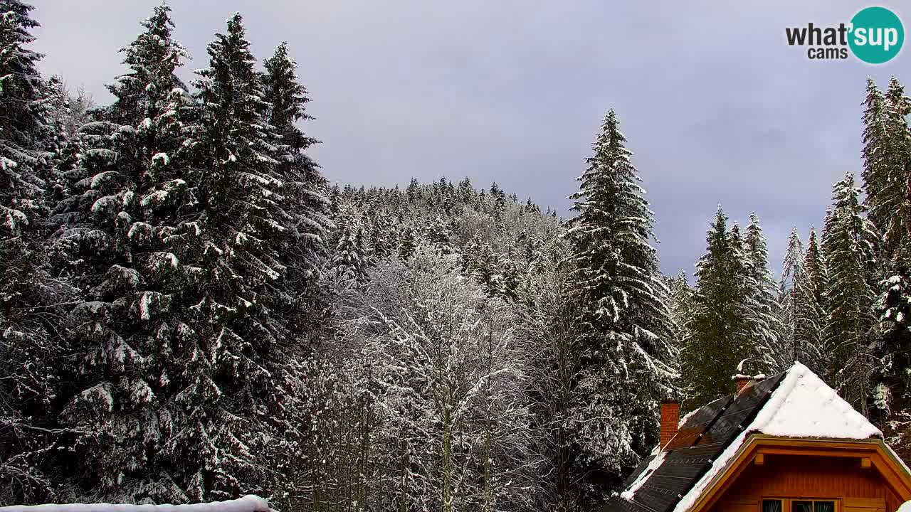 Webcam Lukanja – Water Village | Pohorje Houses