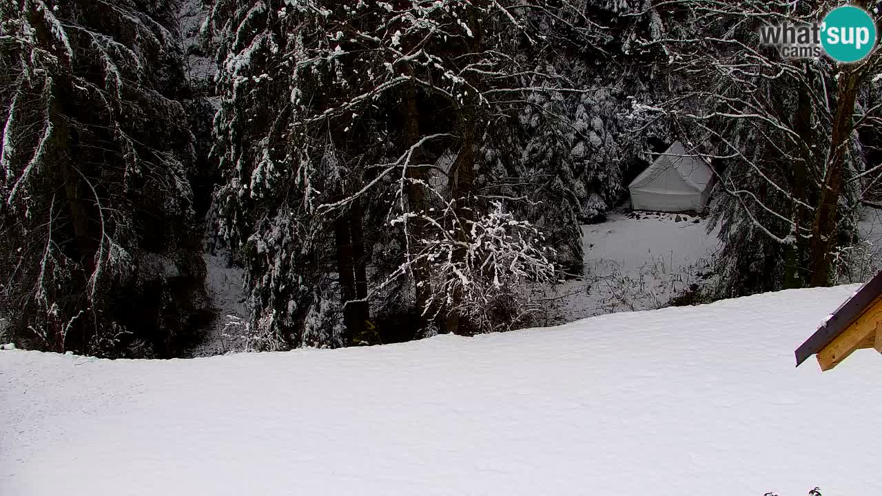 Spletna kamera Lukanja – Water Village | Pohorje Houses