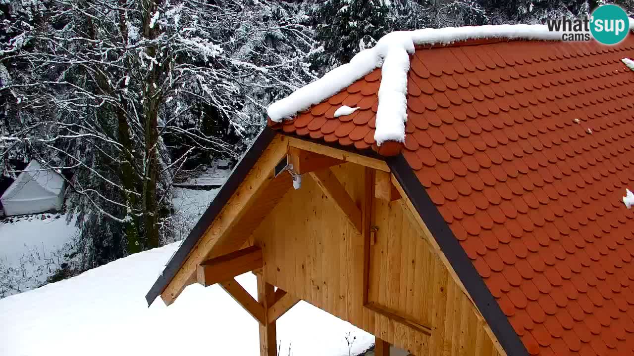 Spletna kamera Lukanja – Water Village | Pohorje Houses