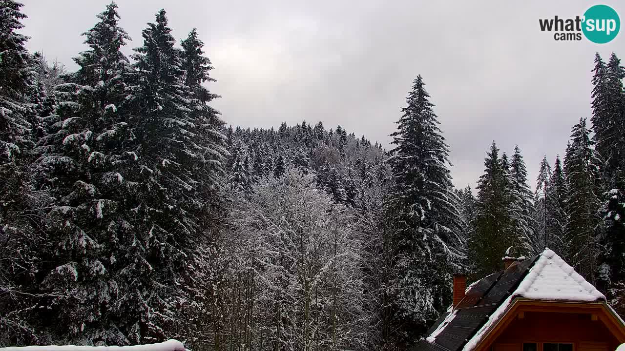 Webcam Lukanja – Water Village | Pohorje Houses