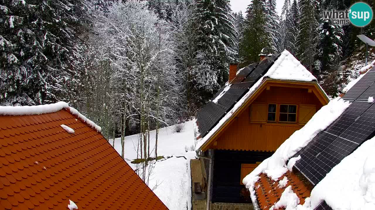 Webcam Lukanja – Water Village | Pohorje Houses