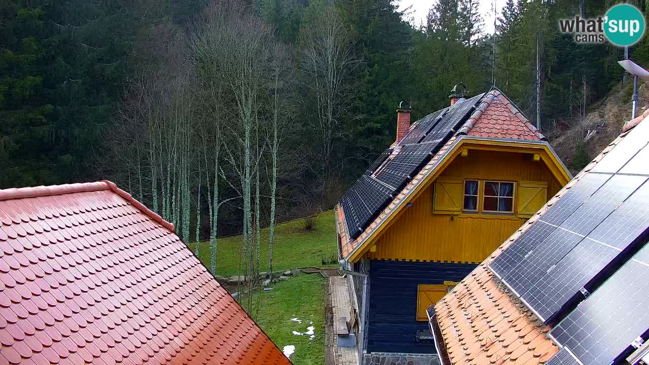 Webcam Lukanja – Pohorje houses a Water village