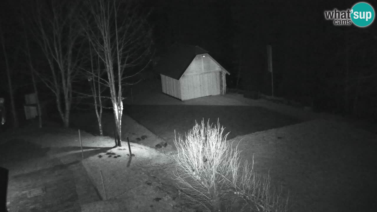 Webcam Lukanja – Pohorje houses a Water village