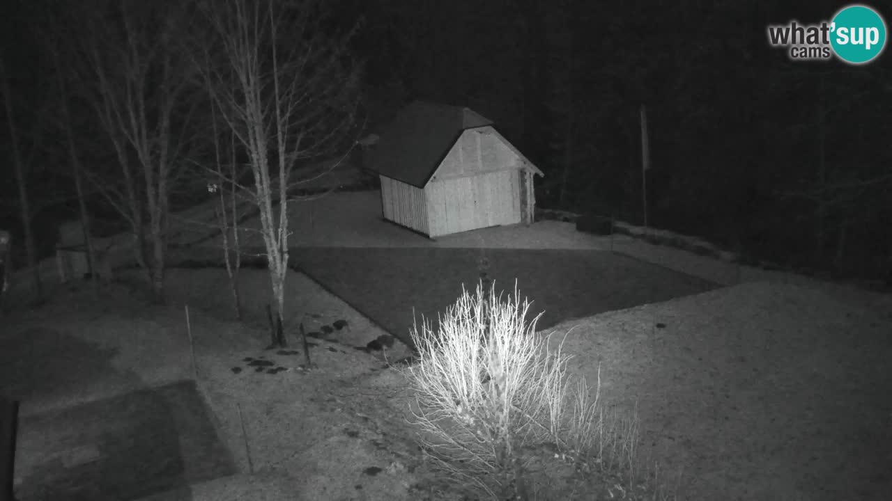 Webcam Lukanja – Pohorje houses a Water village