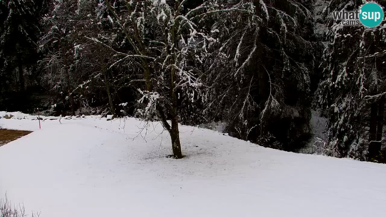 Webcam Lukanja – Water Village | Pohorje Houses