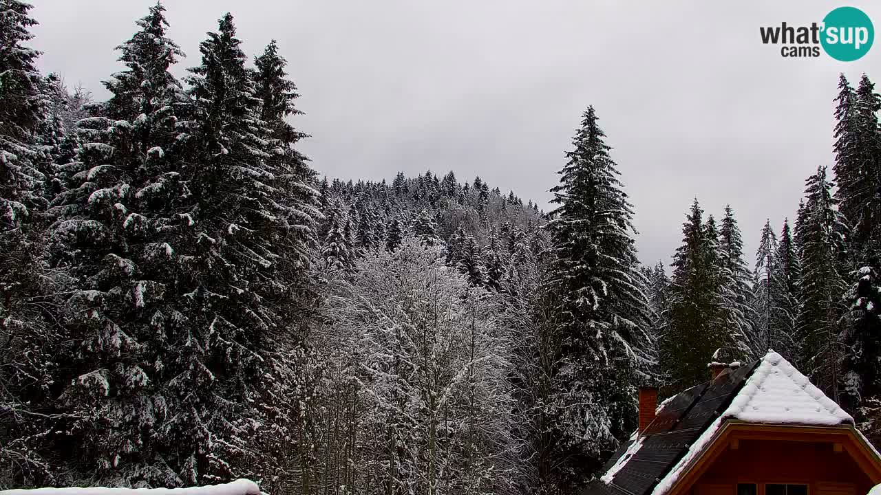 Webcam Lukanja – Water Village | Pohorje Houses