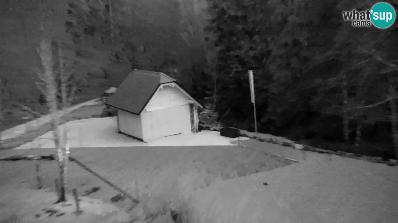 Webcam Lukanja – Water Village | Pohorje Houses