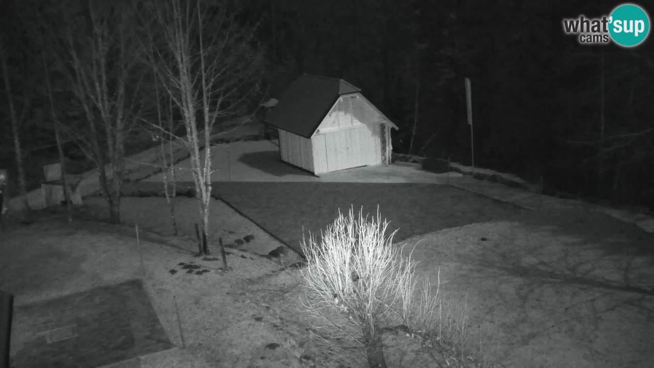 Webcam Lukanja – Pohorje houses a Water village