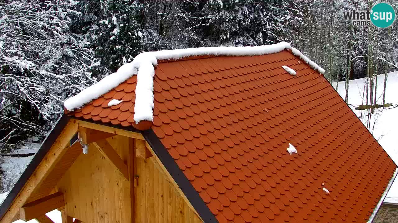 Webcam Lukanja – Water Village | Pohorje Houses