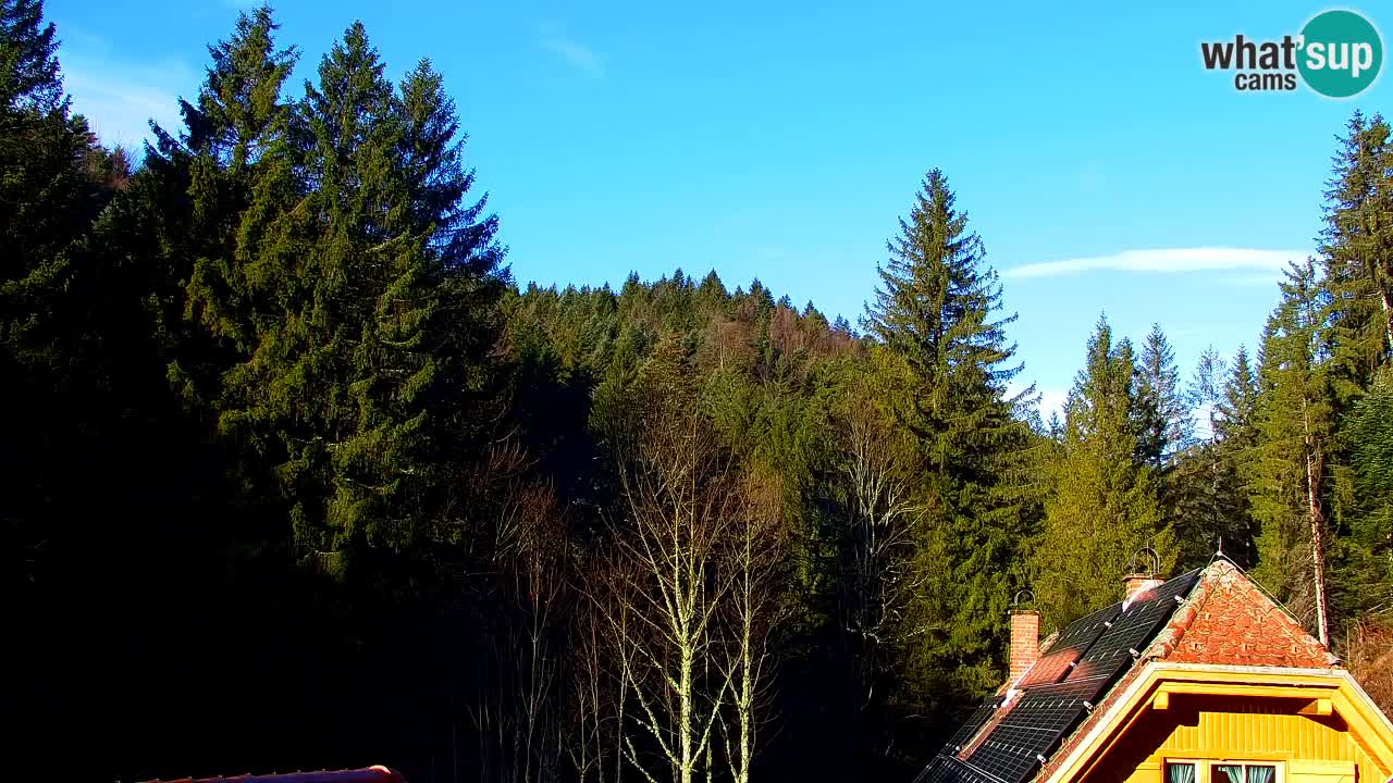 Web kamera Lukanja – Water Village | Pohorje Houses