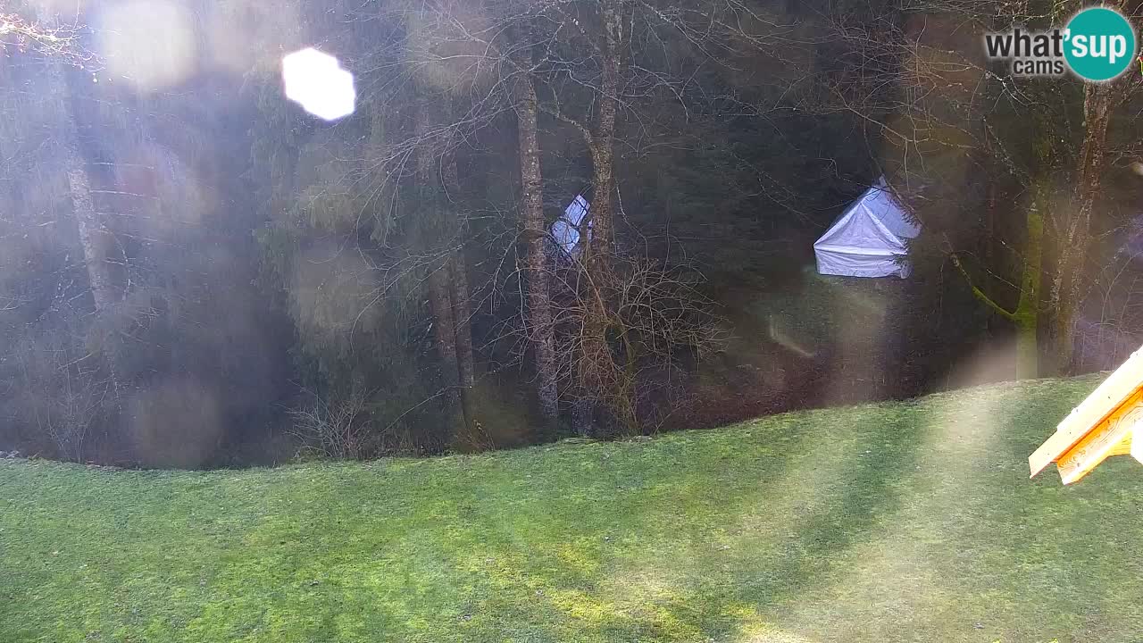 Spletna kamera Lukanja – Water Village | Pohorje Houses