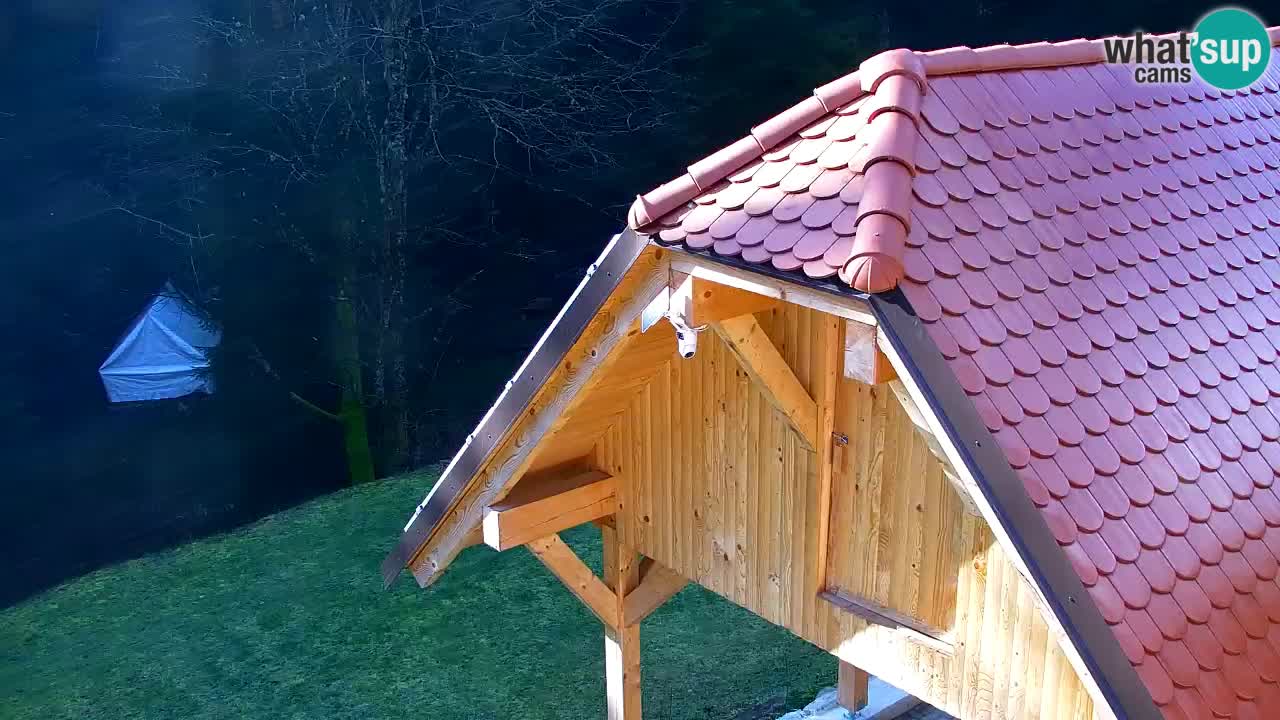 Webcam Lukanja – Pohorje houses a Water village