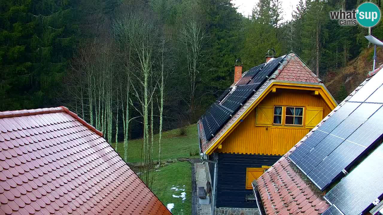 Webcam Lukanja – Pohorje houses a Water village