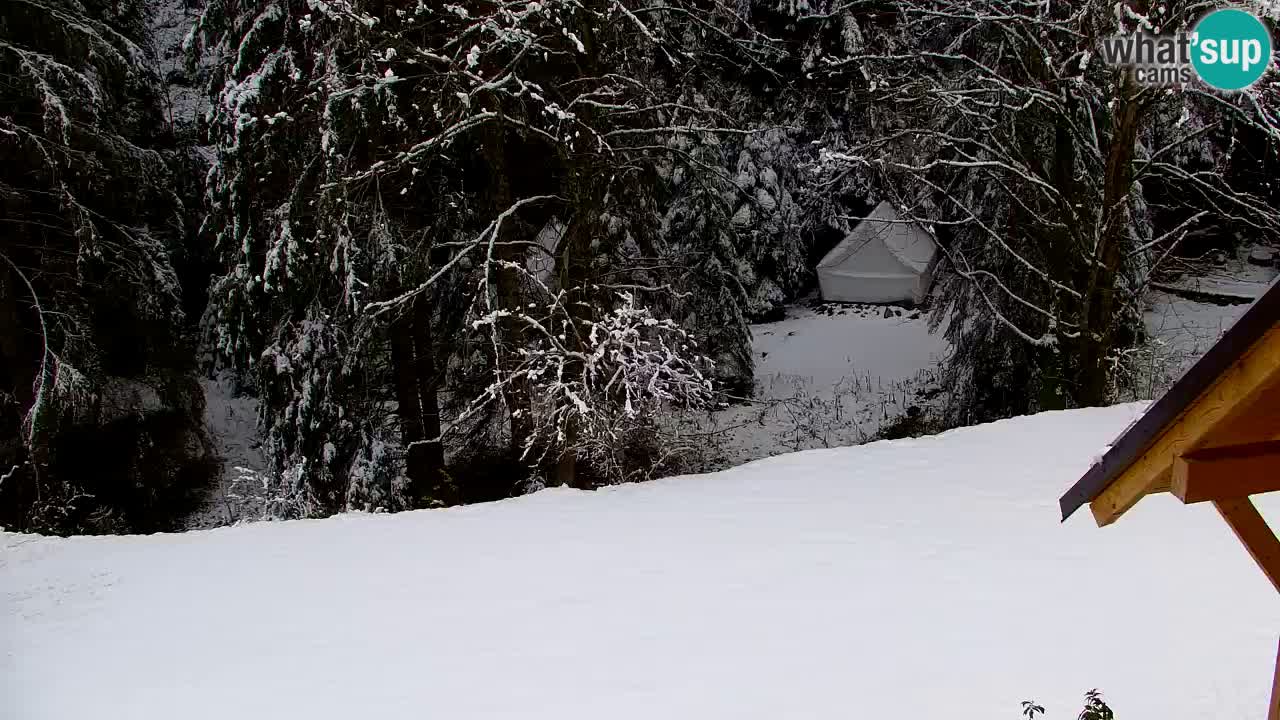 Webcam Lukanja – Water Village | Pohorje Houses