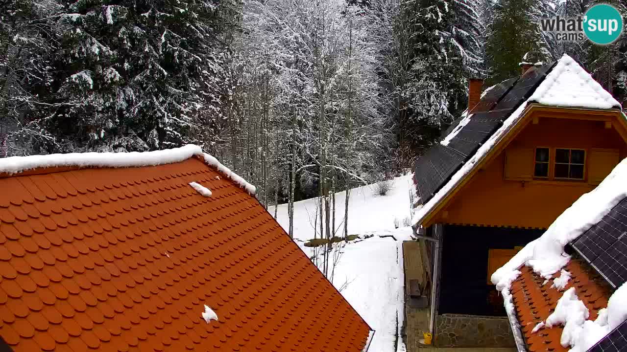 Webcam Lukanja – Water Village | Pohorje Houses