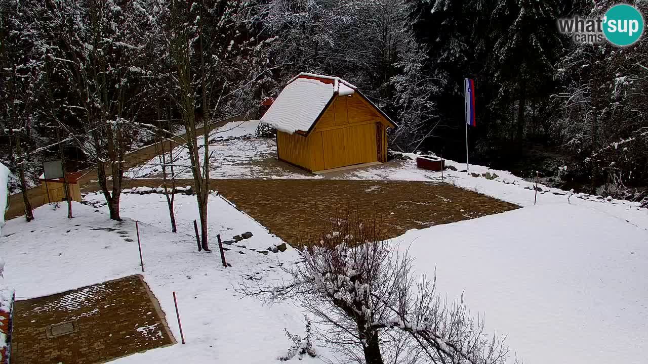 Spletna kamera Lukanja – Water Village | Pohorje Houses