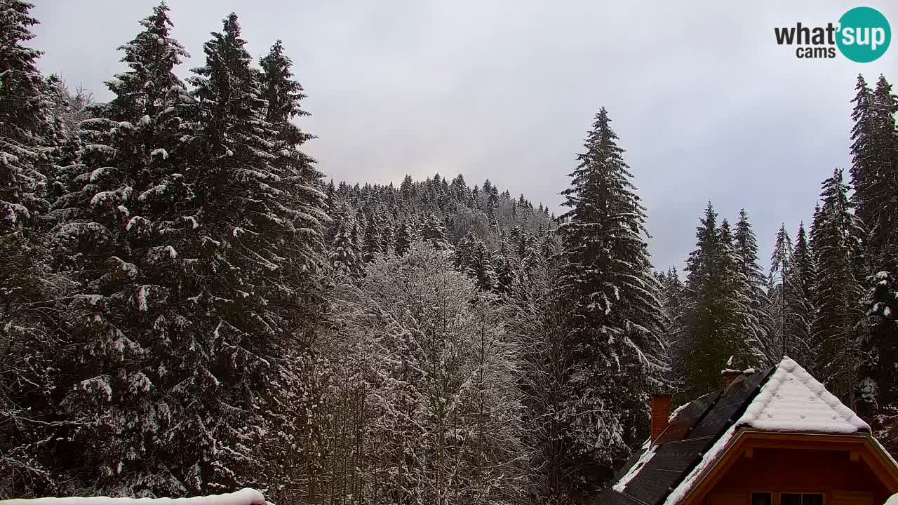 Webcam Lukanja – Water Village | Pohorje Houses