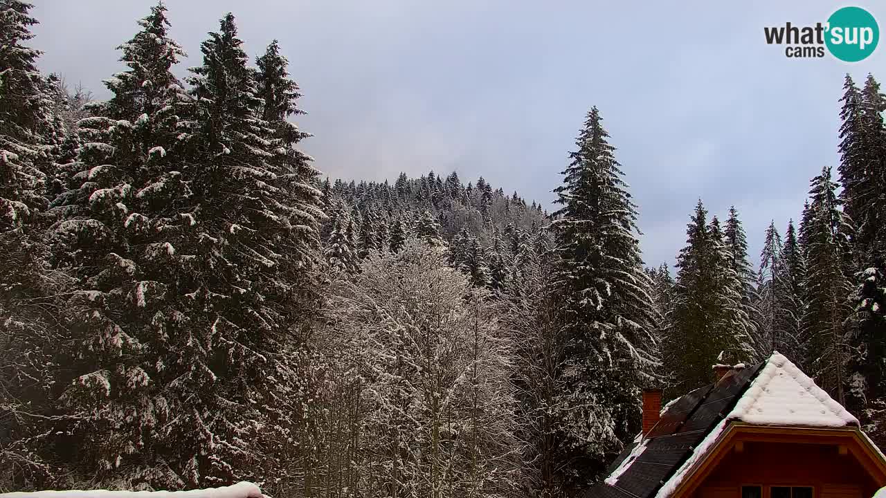 Spletna kamera Lukanja – Water Village | Pohorje Houses