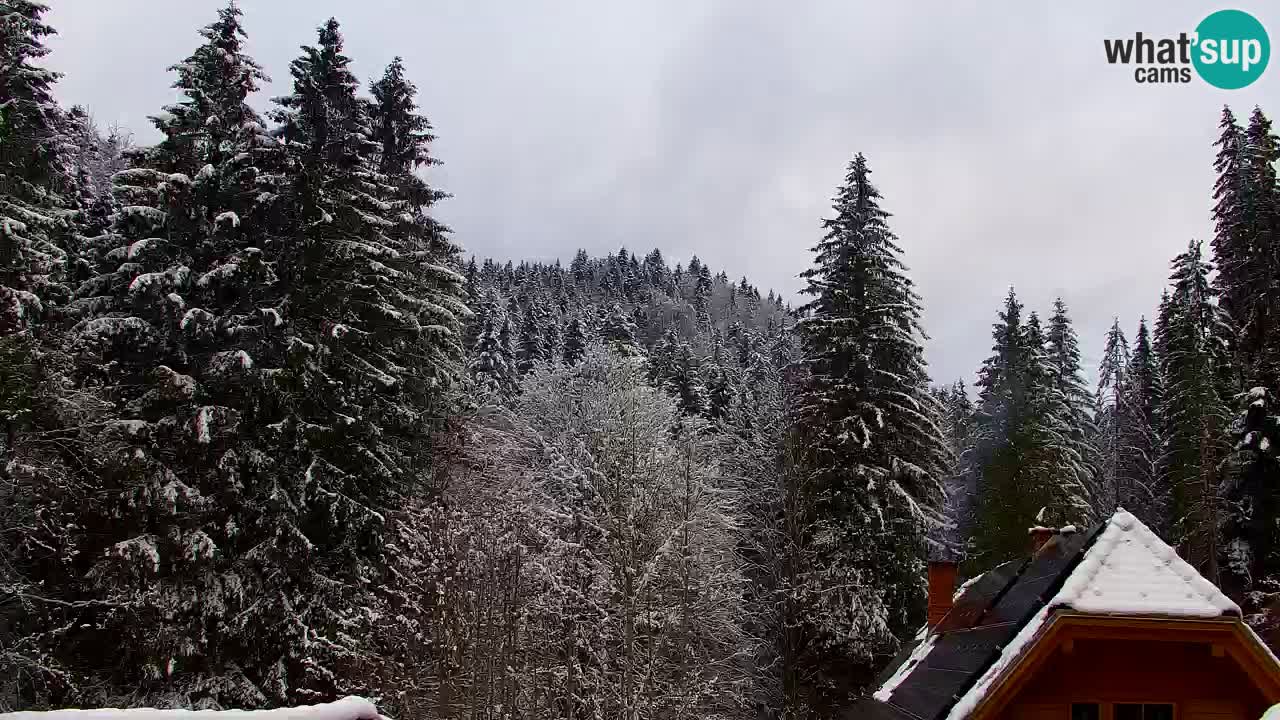 Webcam Lukanja – Water Village | Pohorje Houses