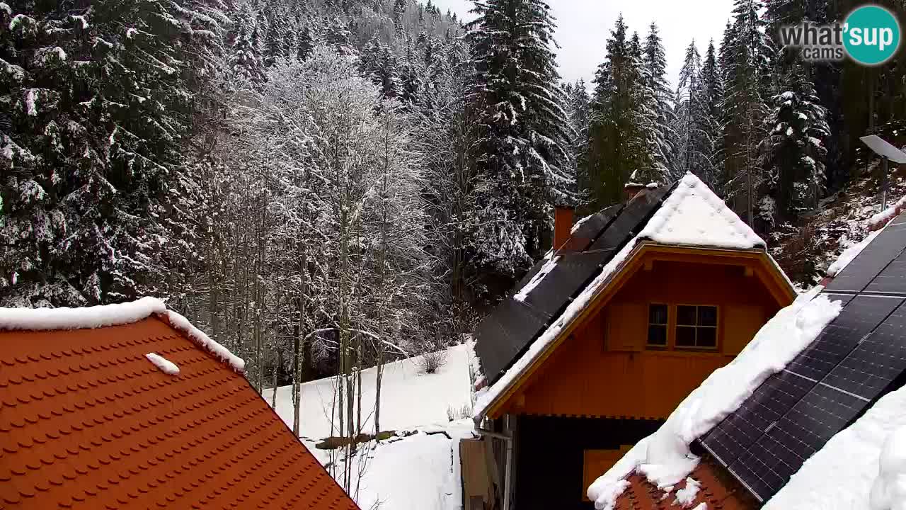Web kamera Lukanja – Water Village | Pohorje Houses