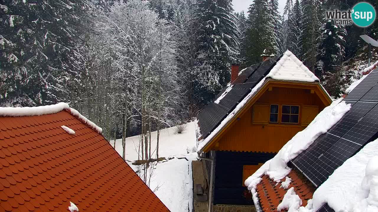 Webcam Lukanja – Pohorje houses a Water village