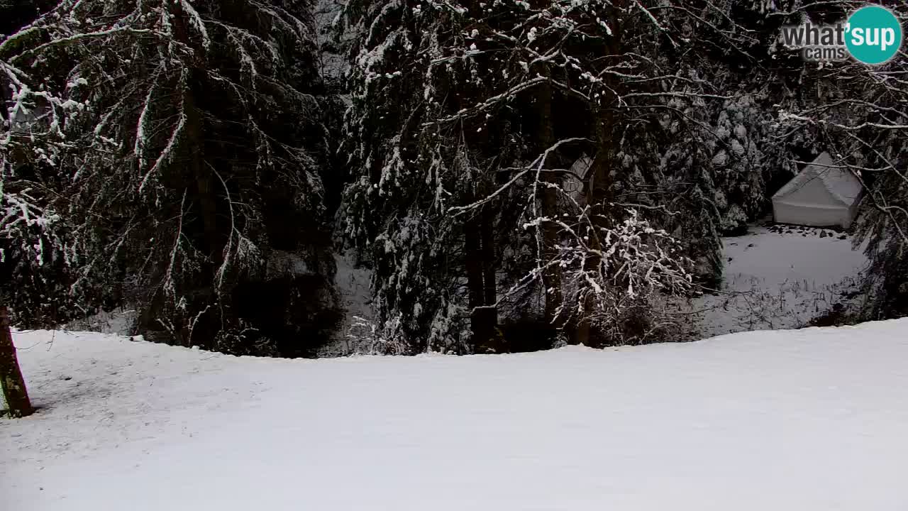 Webcam Lukanja – Water Village | Pohorje Houses