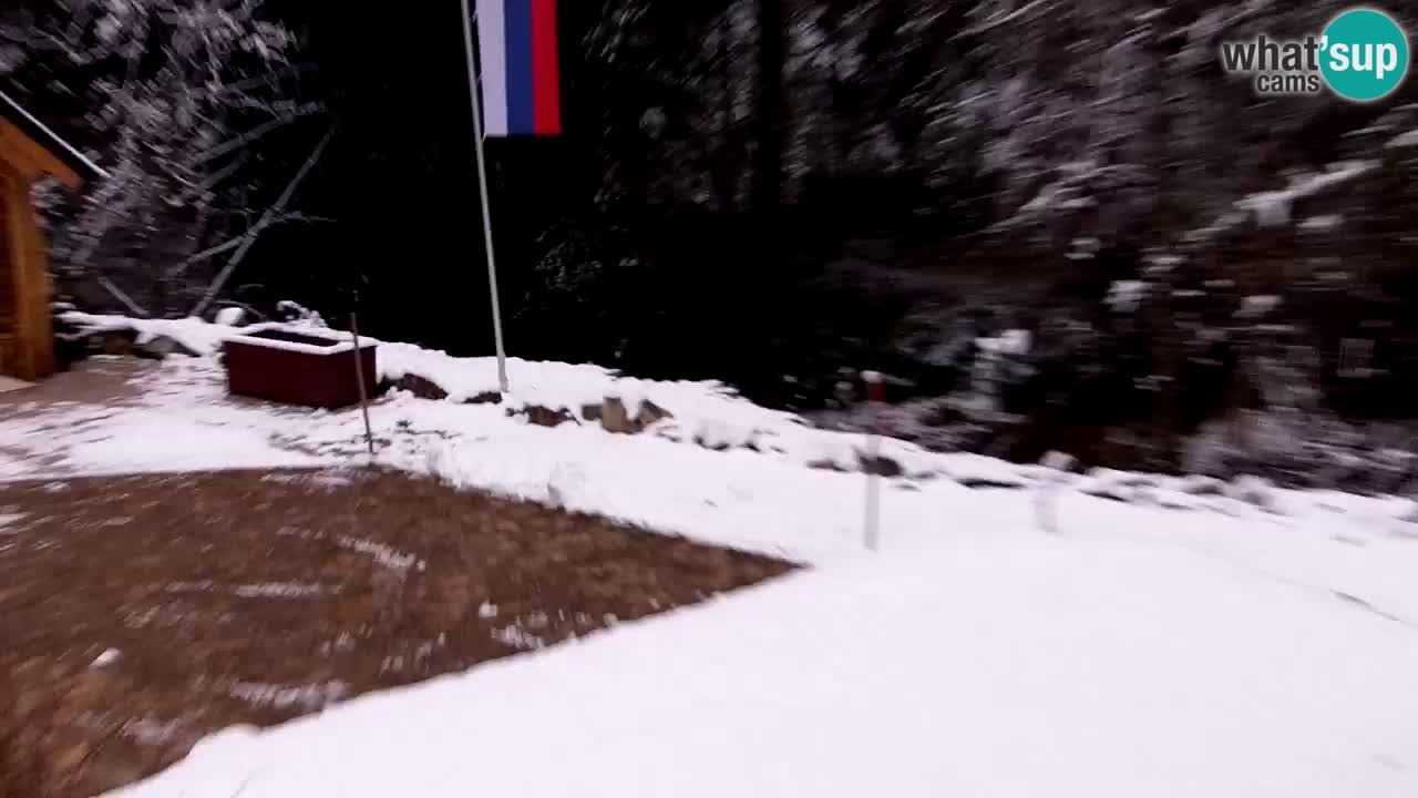 Webcam Lukanja – Water Village | Pohorje Houses