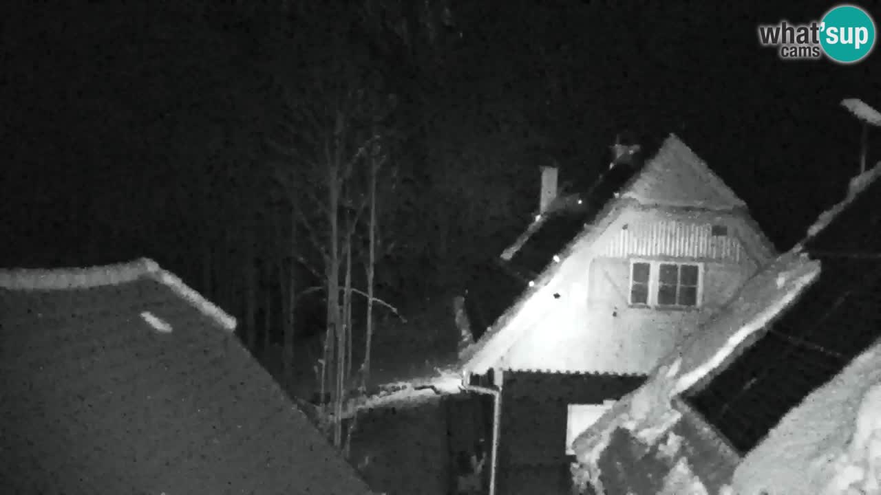 Webcam Lukanja – Water Village | Pohorje Houses