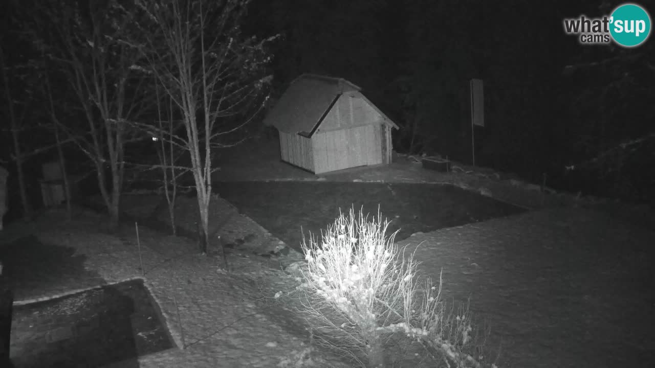 Webcam Lukanja – Water Village | Pohorje Houses