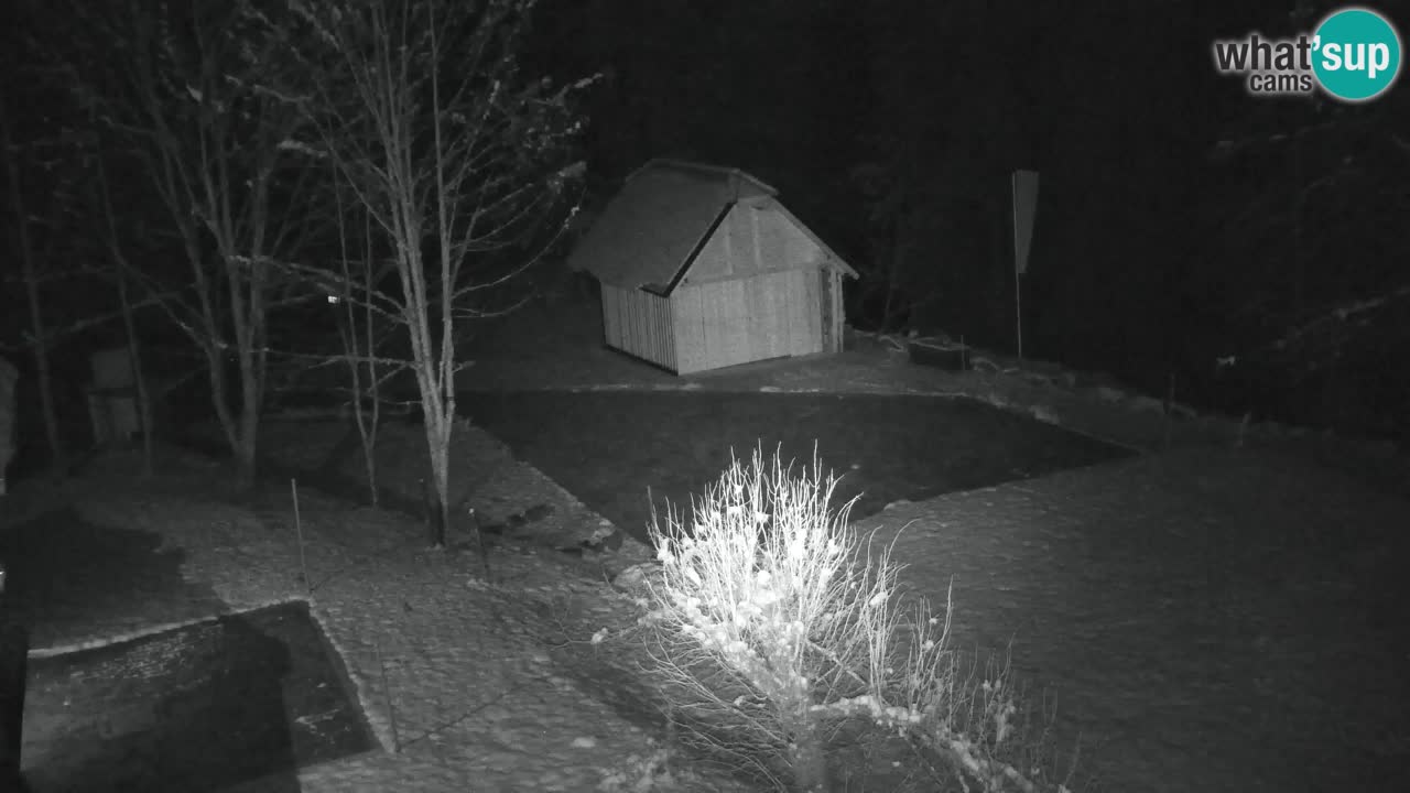 Webcam Lukanja – Pohorje houses a Water village