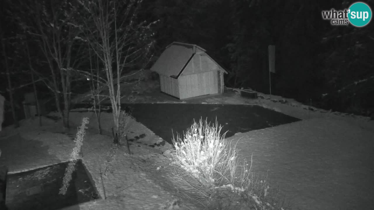 Spletna kamera Lukanja – Water Village | Pohorje Houses