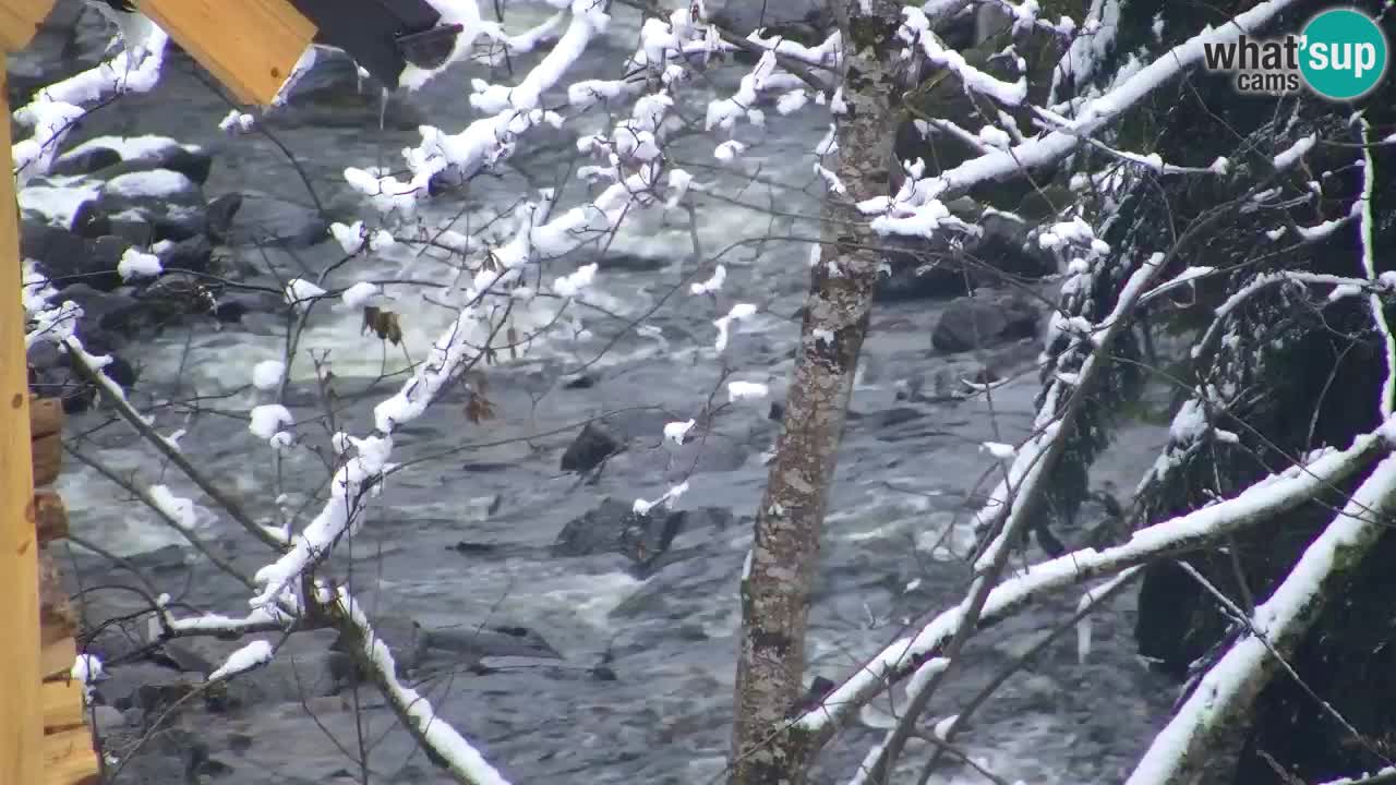 Webcam Lukanja – Water Village | Pohorje Houses