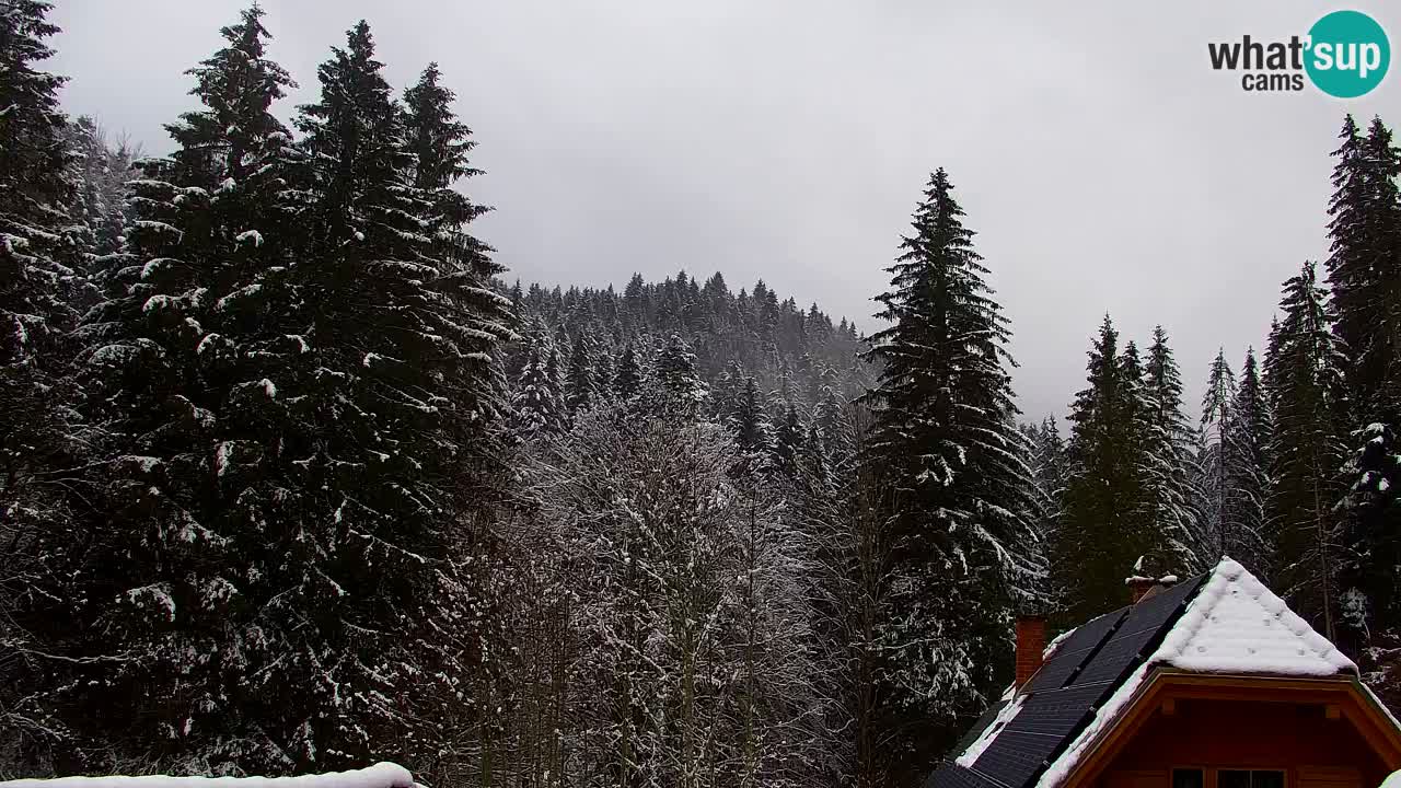 Webcam Lukanja – Water Village | Pohorje Houses