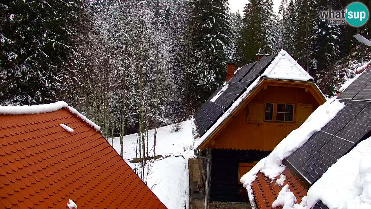 Webcam Lukanja – Water Village | Pohorje Houses