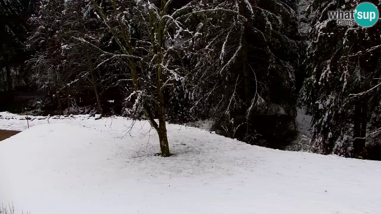 Webcam Lukanja – Pohorje houses a Water village