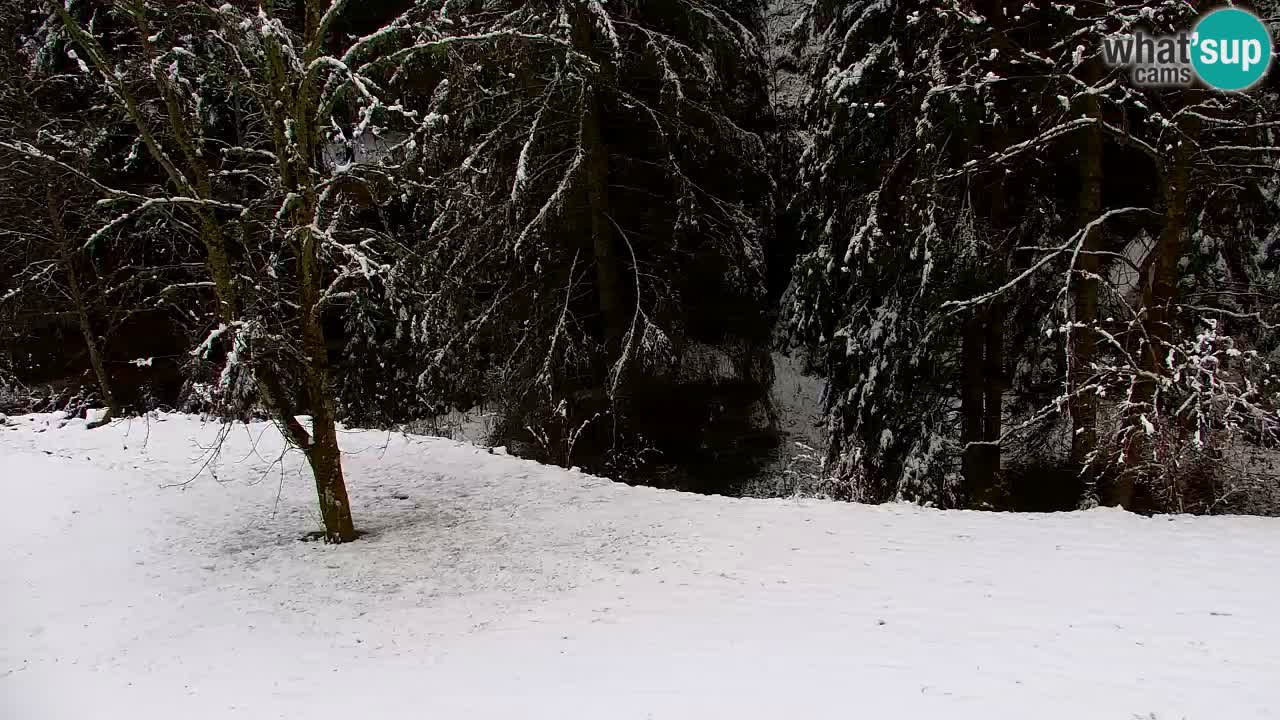 Spletna kamera Lukanja – Water Village | Pohorje Houses