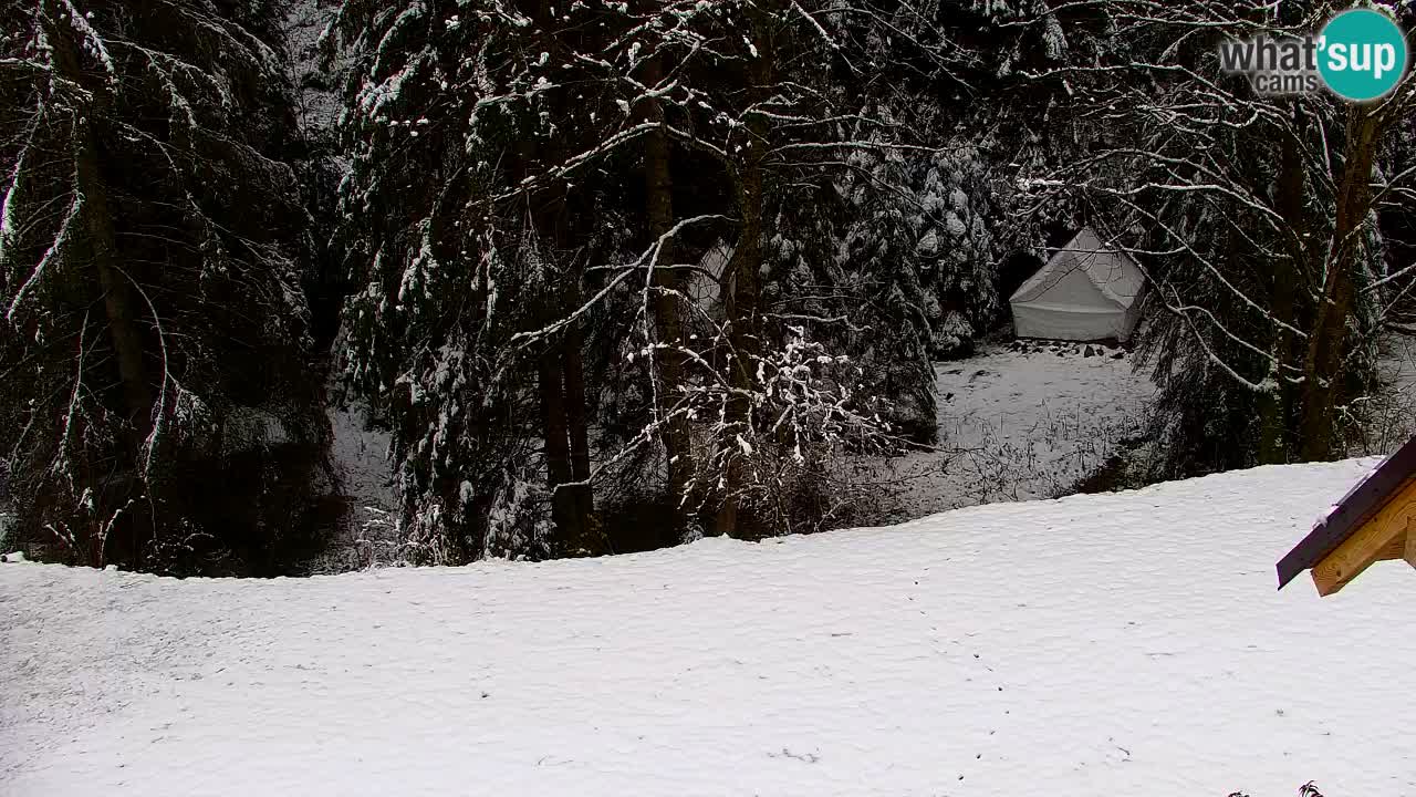 Web kamera Lukanja – Water Village | Pohorje Houses