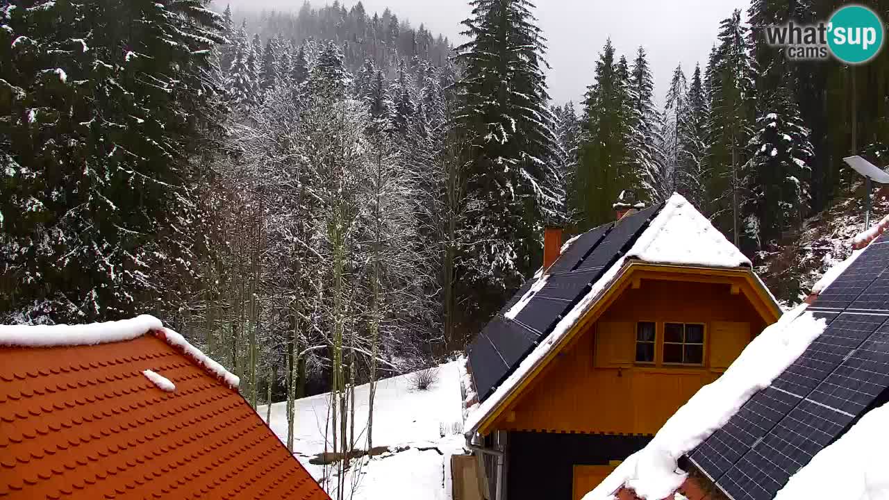 Webcam Lukanja – Water Village | Pohorje Houses