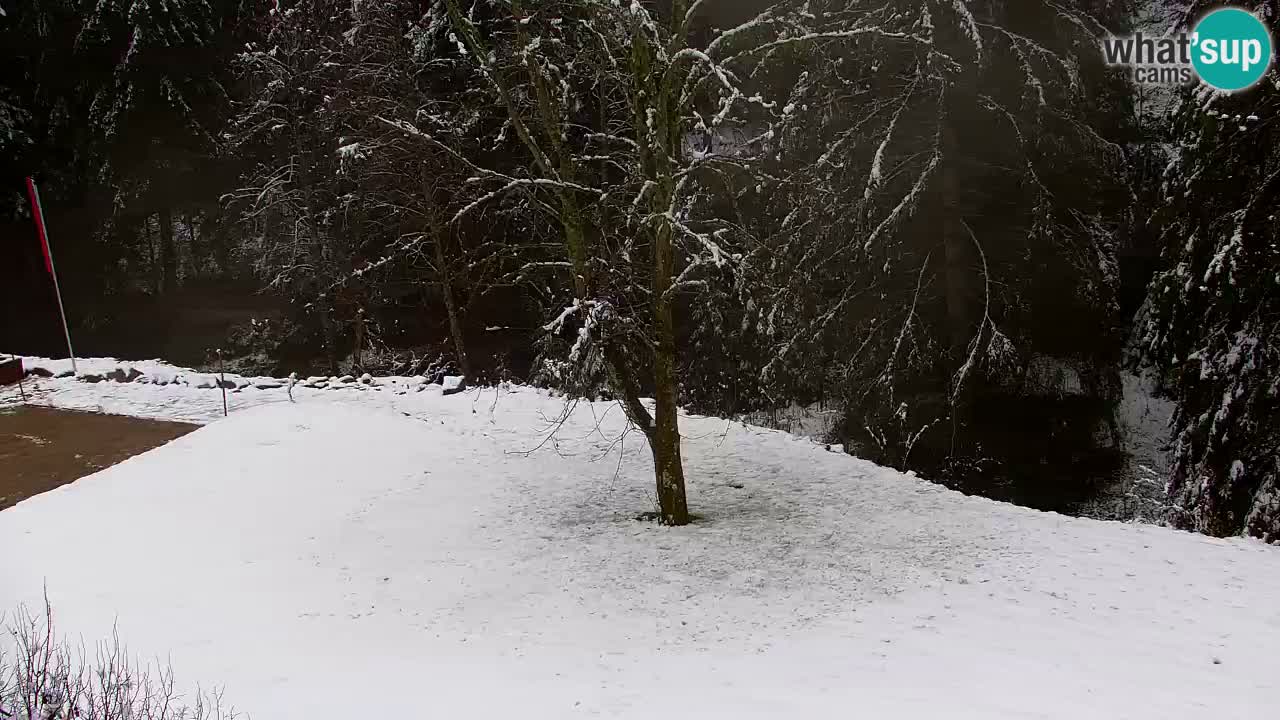 Webcam Lukanja – Pohorje houses a Water village