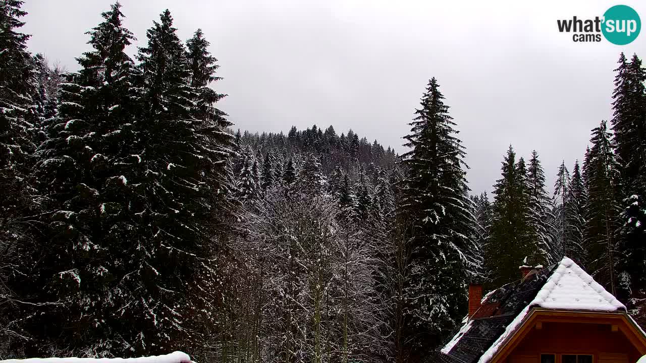 Webcam Lukanja – Pohorje houses a Water village