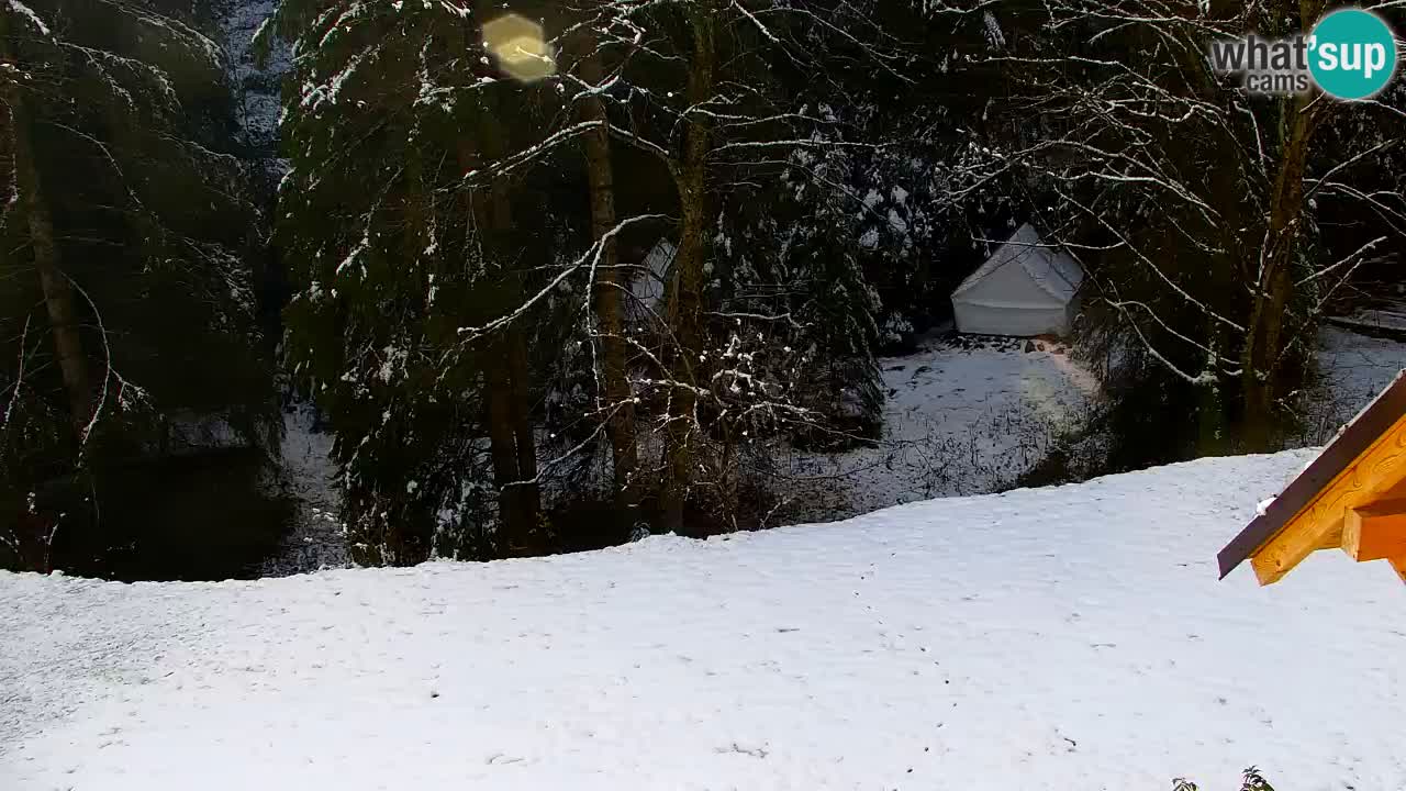 Webcam Lukanja – Pohorje houses a Water village