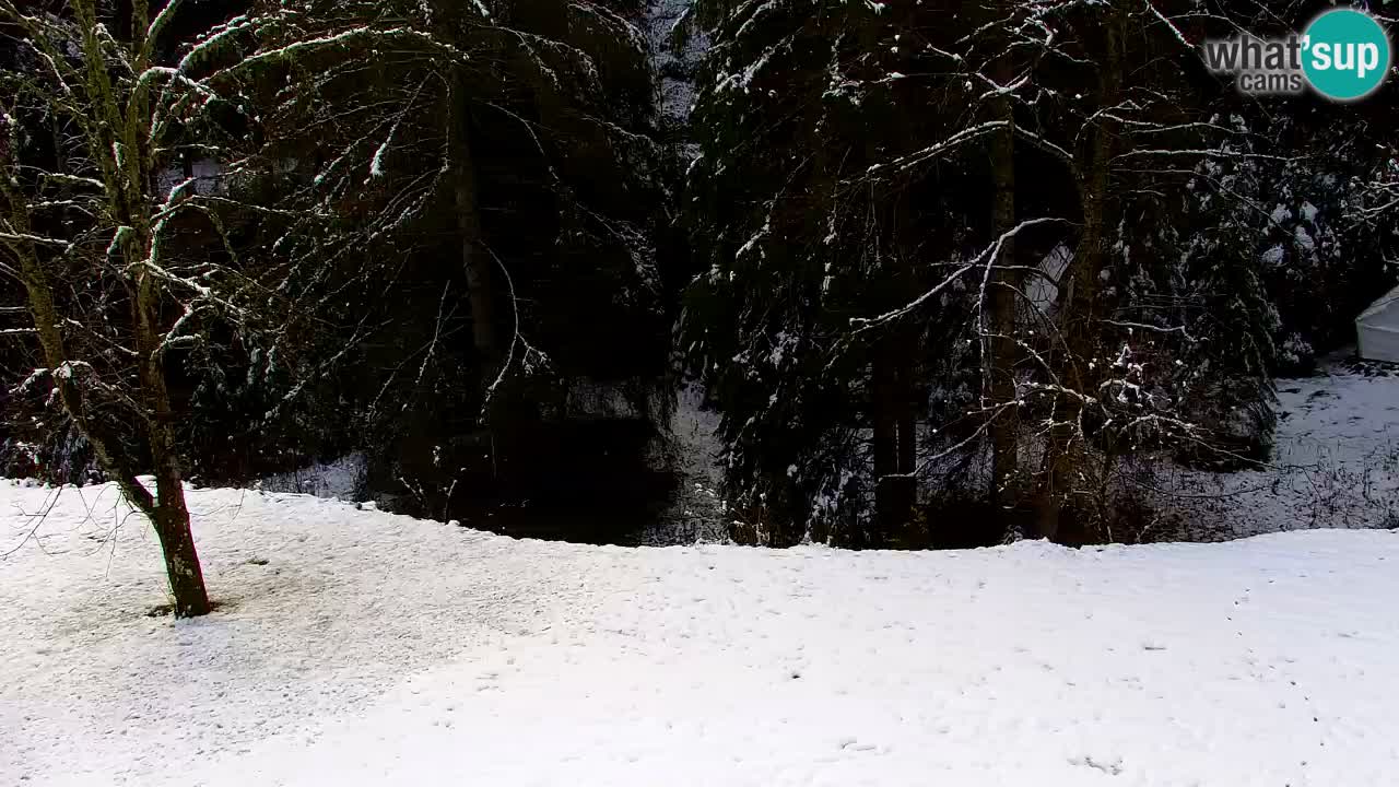 Spletna kamera Lukanja – Water Village | Pohorje Houses