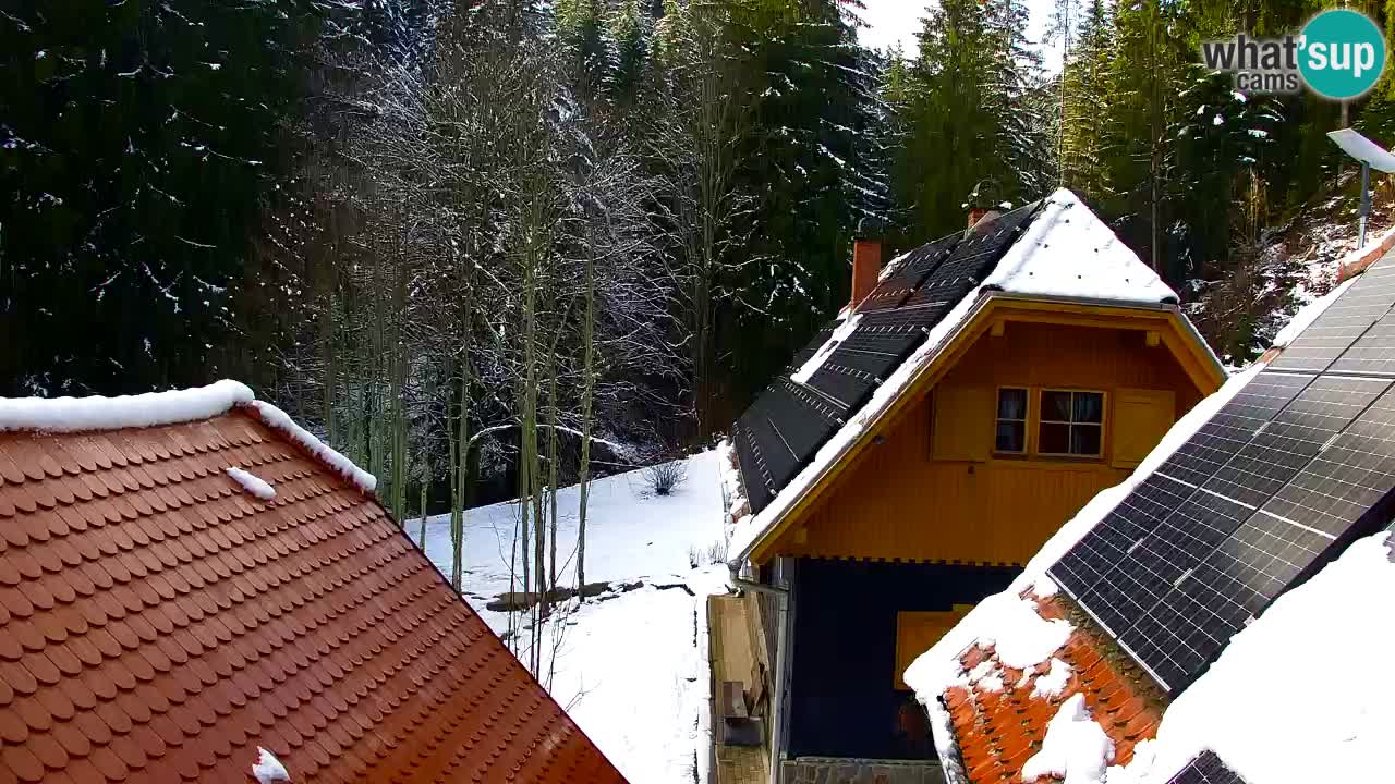 Webcam Lukanja – Water Village | Pohorje Houses