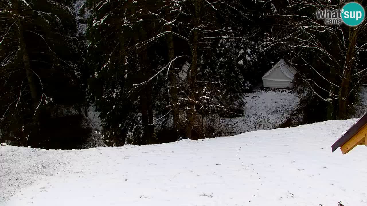 Web kamera Lukanja – Water Village | Pohorje Houses