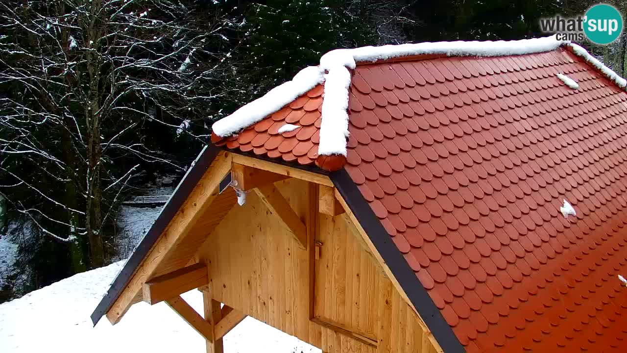 Spletna kamera Lukanja – Water Village | Pohorje Houses