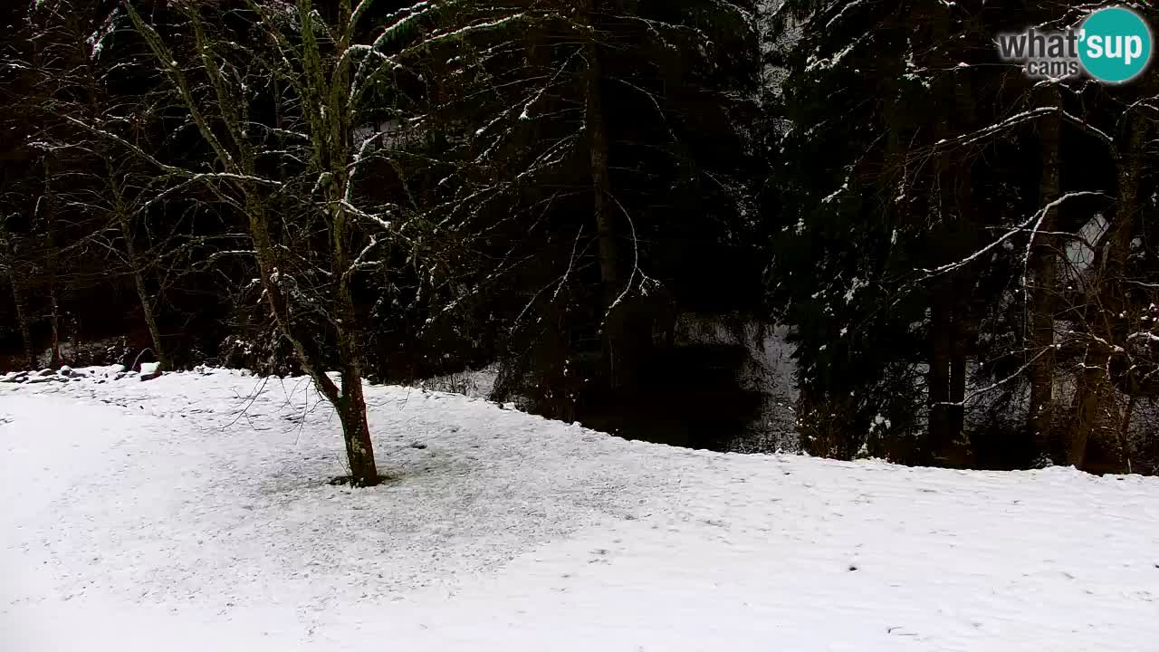 Webcam Lukanja – Water Village | Pohorje Houses